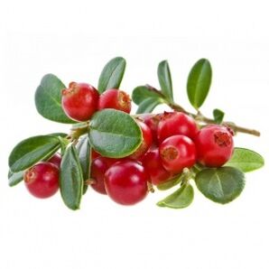 Cranberry em cistonete